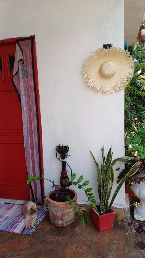 La Petite Maison De Diana أسونسيون المظهر الخارجي الصورة