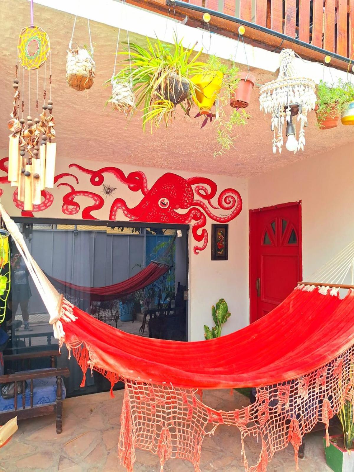 La Petite Maison De Diana أسونسيون المظهر الخارجي الصورة